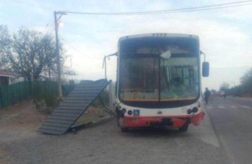 Detuvieron a un chofer que atropelló y mató a una mujer