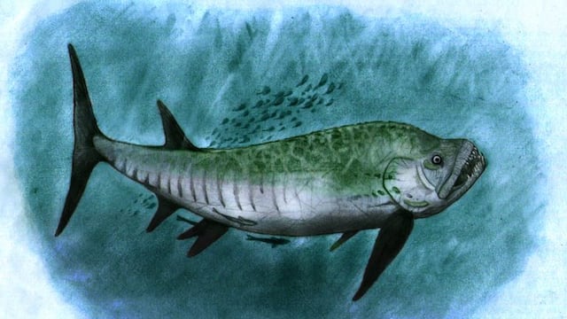 Fósil en la Patagonia\u002E