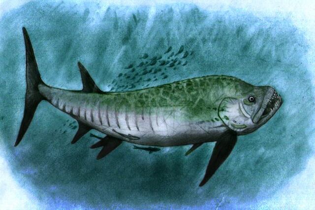 Fósil en la Patagonia\u002E