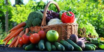 Mercado de productores