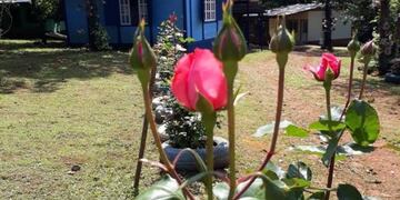 Para los empresarios la reactivación del sector será lenta\u002E