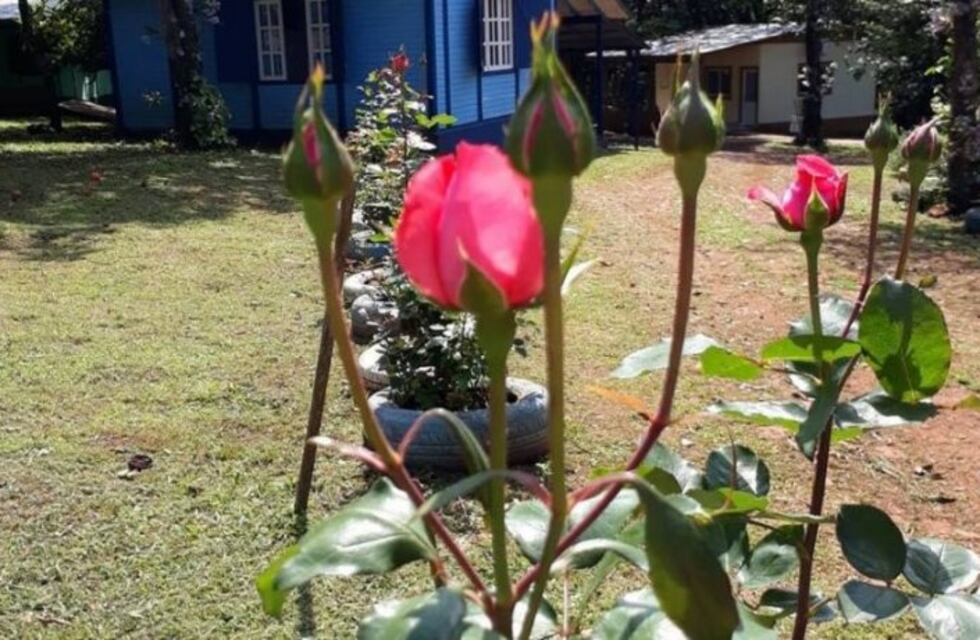 Oberá tuvo un 35% de ocupación hotelera el fin de semana largo