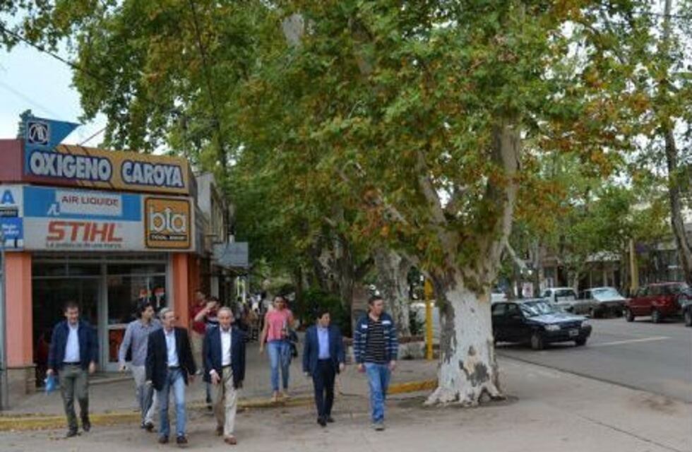 Buscan embellecer Colonia Caroya