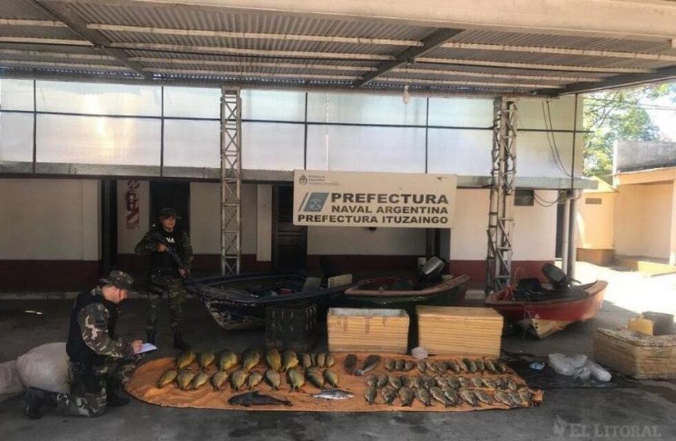 Donaran 200 kilos de pescados incautados