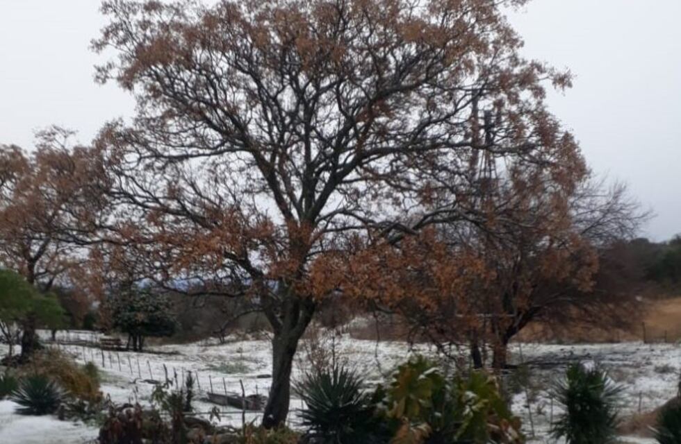 Intensa nevada en el norte de Córdoba