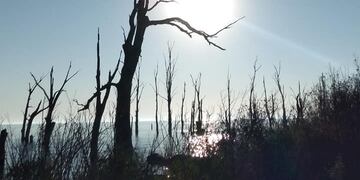 Colonia Müller en Miramar de Ansenuza