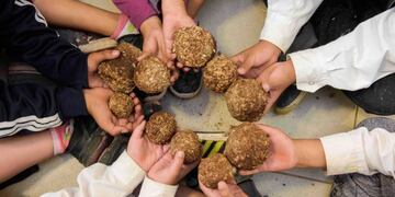 escuela de Uspallata hace leña ecológica