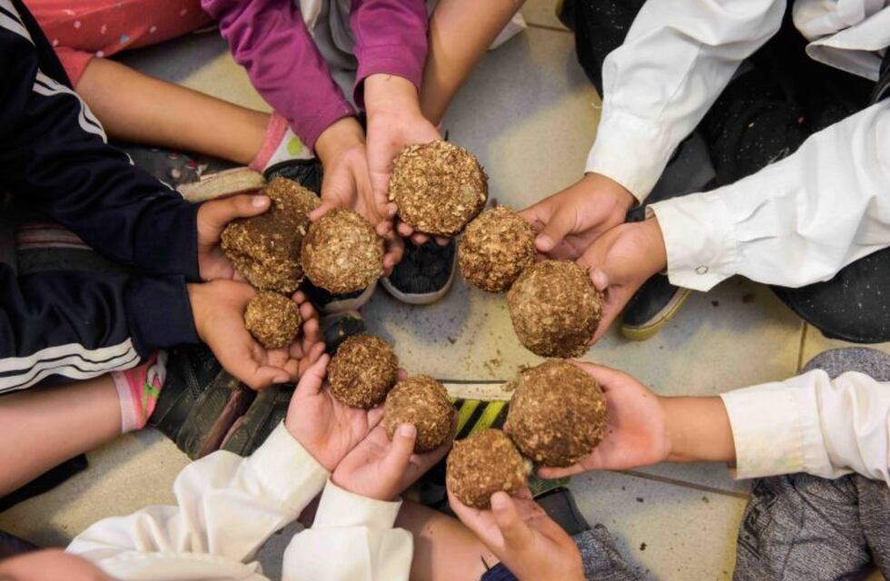 En una escuela mendocina hacen "leña ecológica"