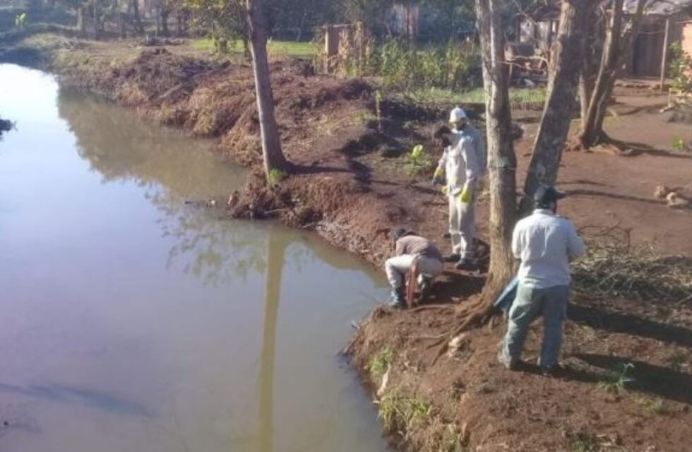 Avanzan los trabajos de saneamiento del arroyo Elena en Eldorado