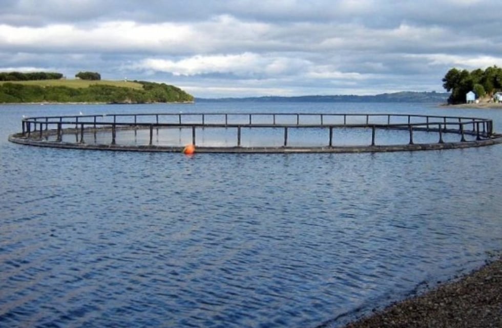 La comunidad Yagan se opone a la instalación de salmoneras en el Canal Beagle