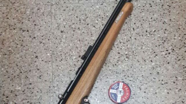 Hirió a un perro con un rifle y se entregó\u002E