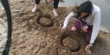 Hallan restos fósiles en Monte Hermoso