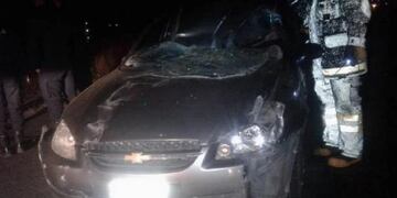 Un auto chocó contra un caballo en Tunuyán: seis heridos