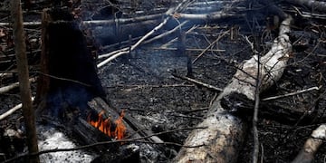 Foto del Amazonas del 21 de agosto del 2019 (REUTERS/Bruno Kelly)\u002E