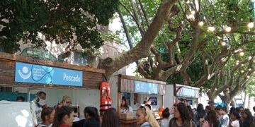 Miles de marplatenses ya accedieron a las tarjetas AlimentAR (Foto: Twitter Sol de la Torre)