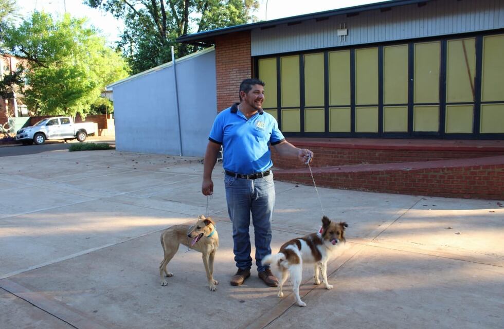 Se realizó una jornada de adopción de mascotas en Montecarlo
