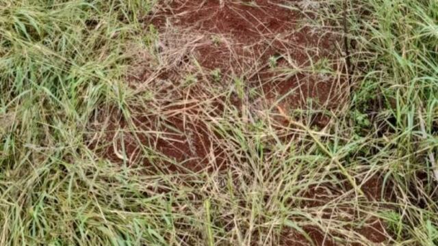 Hallan el cadáver de una mujer en Los Helechos.