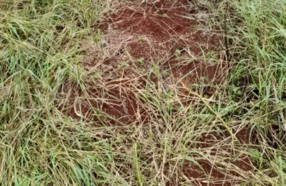 Hallan el cadáver de una mujer en Los Helechos