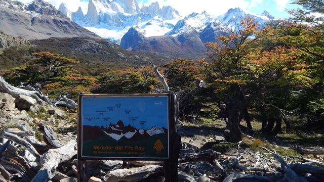 El hecho ocurrió cuando la familia estaba de vacaciones en El Chaltén, provincia de Santa Cruz. (Foto Cecilia Mansilla)