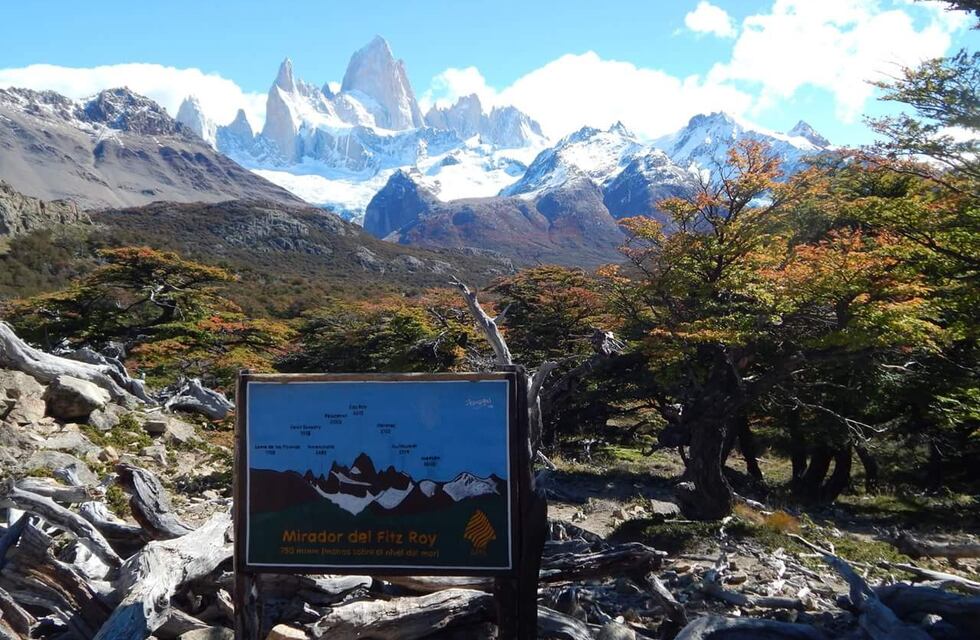 “Es un milagro que salimos vivos”: familia cordobesa se topó con un peligroso animal