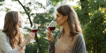 Cada 24 de noviembre se celebra el Día del Vino Argentino