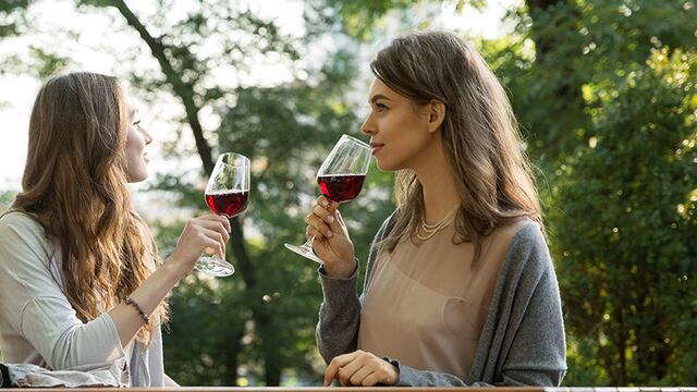 Cada 24 de noviembre se celebra el Día del Vino Argentino
