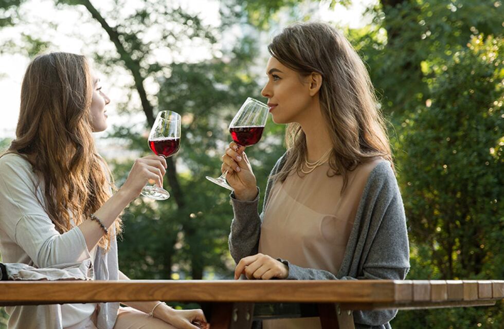 Brindis nacional: en el Día del Vino Argentino, las mejores opciones para un buen maridaje