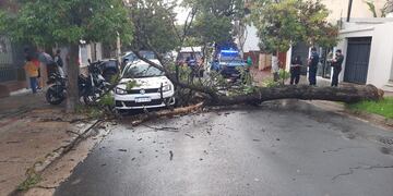 La tormenta trajo muchas complicaciones