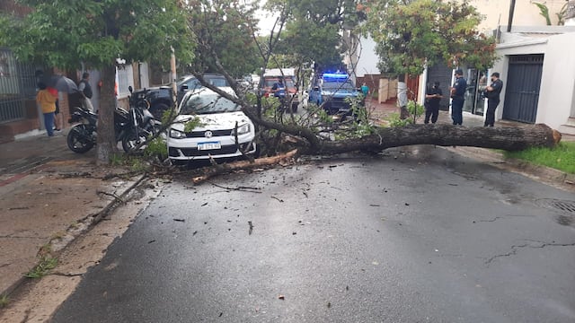 La tormenta trajo muchas complicaciones
