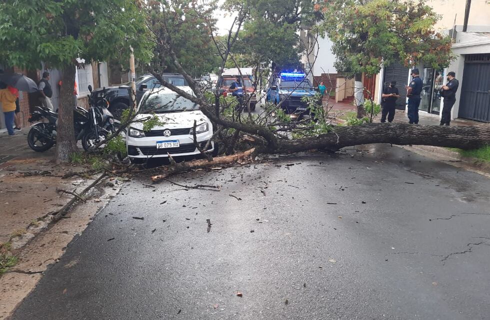 Lo que la tormenta dejó en Paraná