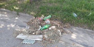 Fue hallado el carnet de la obra social de Claudia Repetto en un basural (Foto: Ahora Mar del Plata)