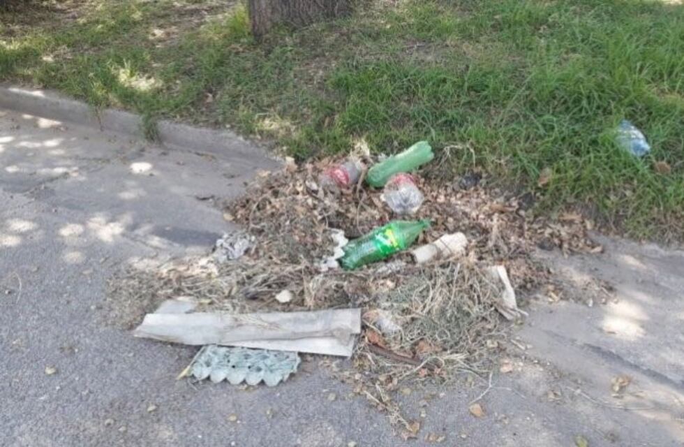 Fue hallado el carnet de la obra social de Claudia Repetto en un basural