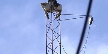 Automovilista chocó un colectivo que estaba estacionado\u002E (El Tres)