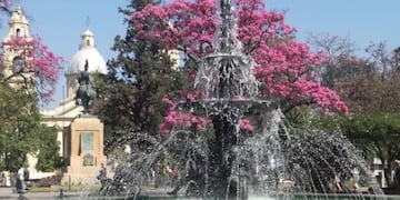 Mariana Herrera\u002E