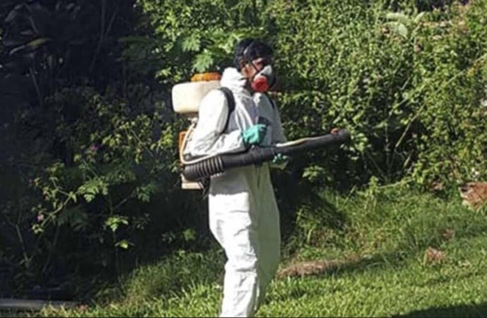 La provincia refuerza la lucha contra el dengue en Oberá