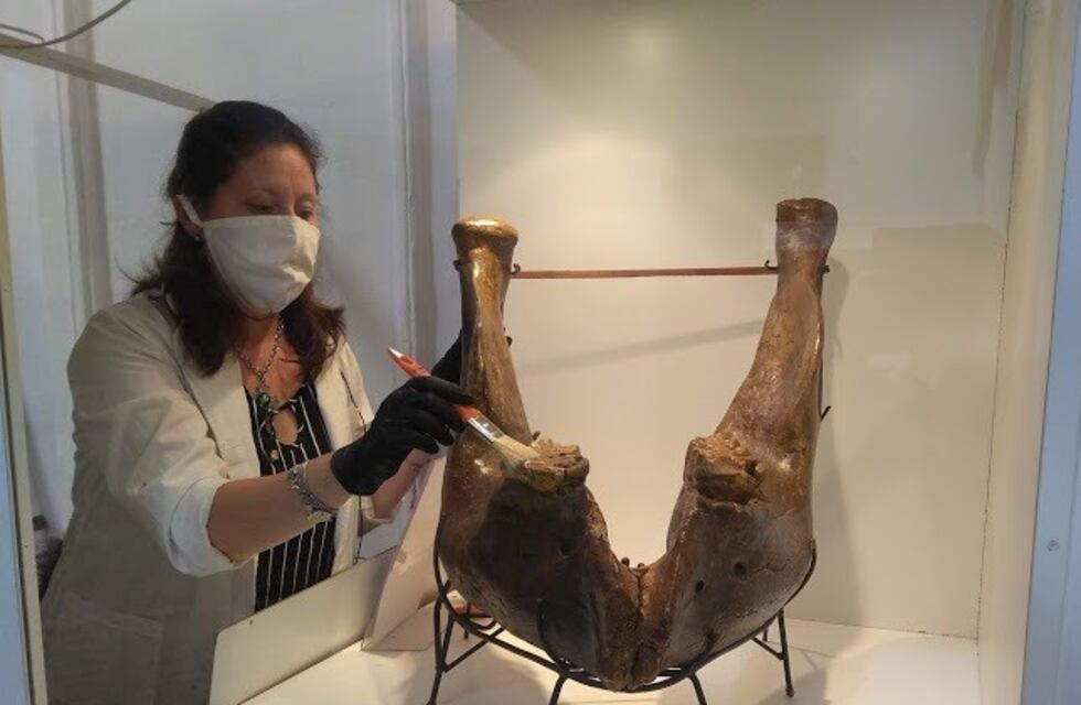 Concordia: ciclo de charlas virtuales con científicos sobre "Los moradores del Territorio Entrerriano"