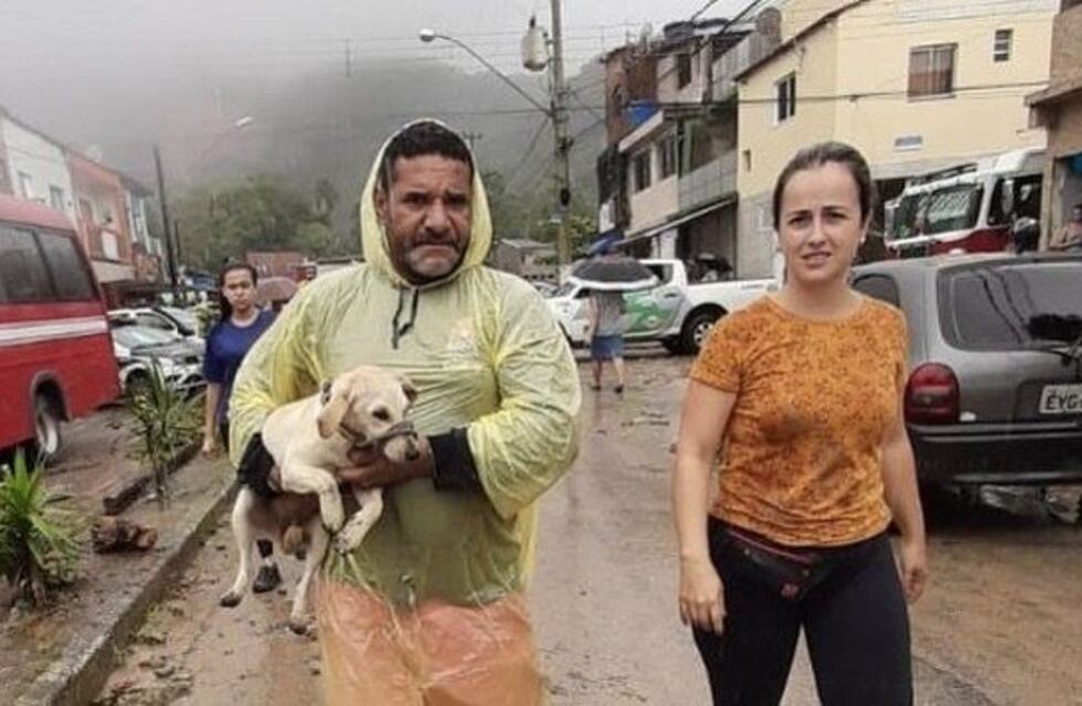 Tras un temporal, una perra ayudó a encontrar a su dueño bajo los escombros