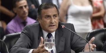 Ángel Rozas, presidente del bloque de senadores de la UCR del Congreso Nacional\u002E