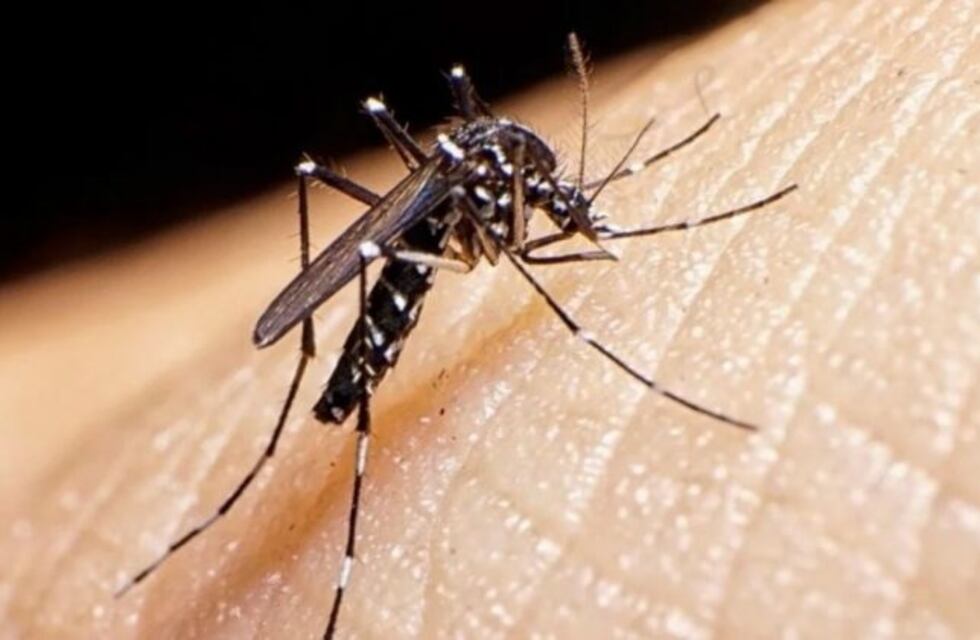 El intendente obereño estimó que en la ciudad existen 800 casos confirmados de dengue