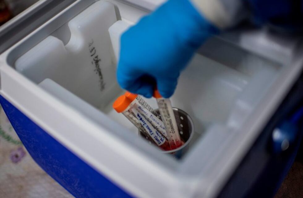 Coronavirus: 137 en Chubut y seis fallecidos