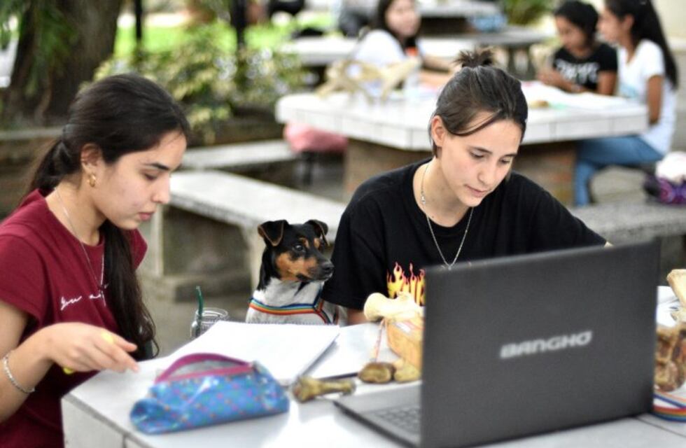 Arranca la pre inscripción, via internet, en la UNNE