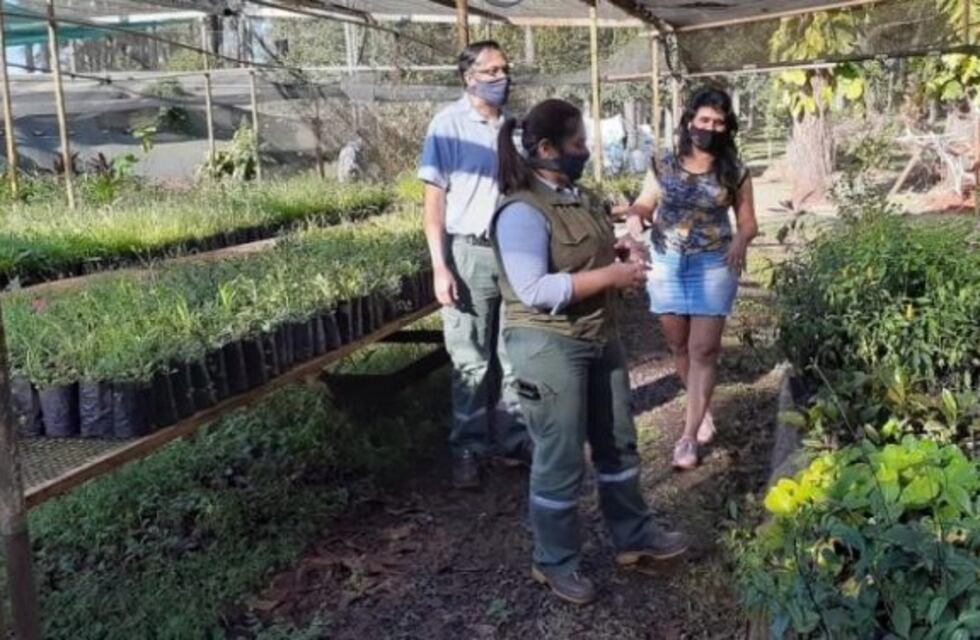 Empresa forestal donó 400 plantines para recuperación de la franja protectora del arroyo Elena
