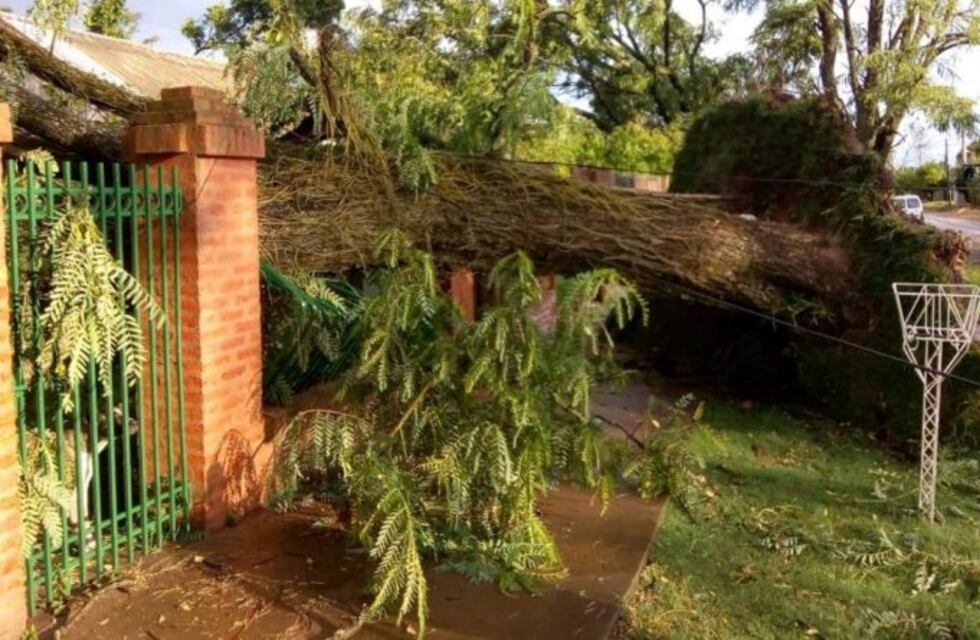 Estragos provocados por la tormenta en Machagai y San Martín