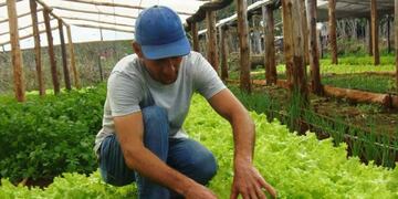 Imagen archivo\u002E Huertas urbanas\u002E