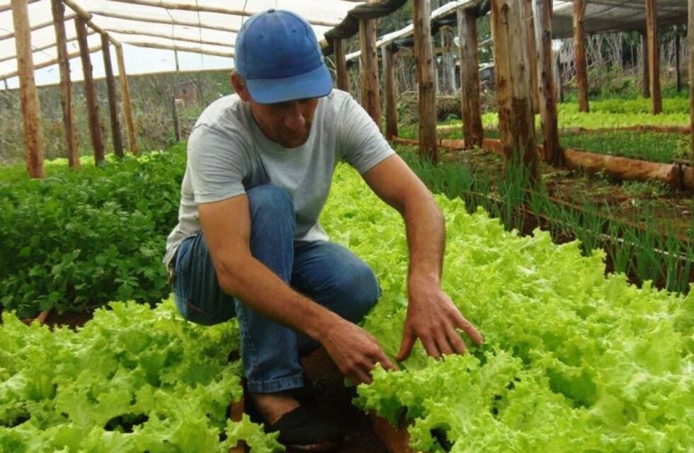 Cursos sobre Huertas Urbanas y Plantas Suculentas a bajo costo y dictados por la Muni