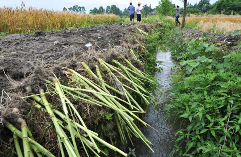 Ayuda para productores de agricultura familiar, campesina e indígena con problemas de agua