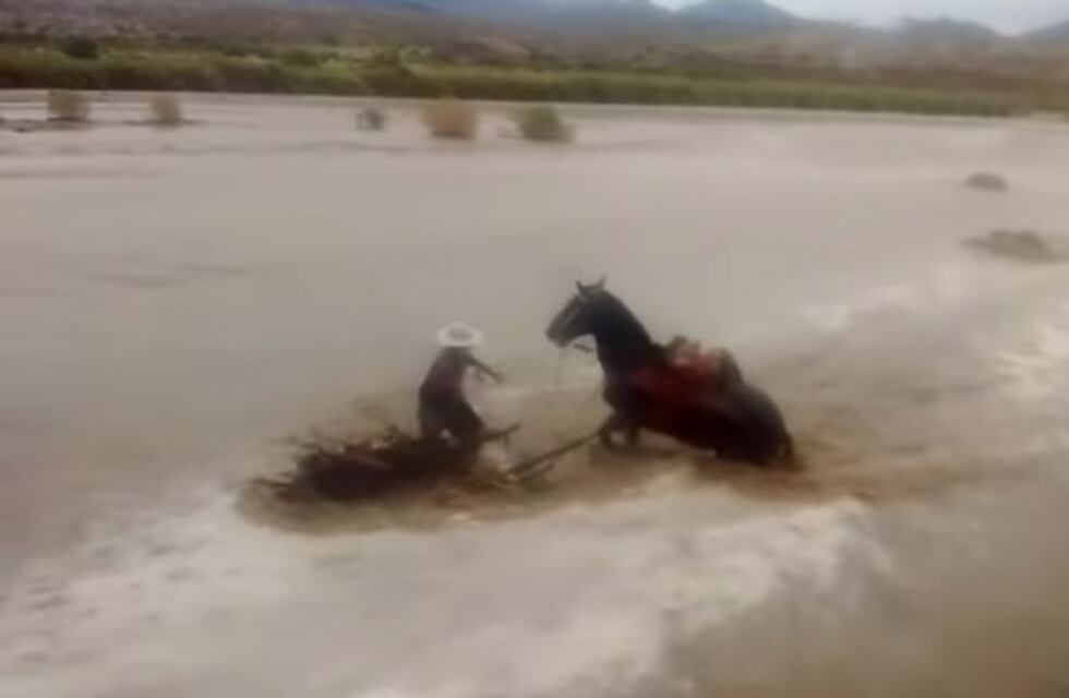 Valles Calchaquíes: el río Amaicha casi arrastra a un gaucho y a su caballo