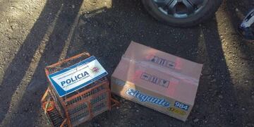 Decomisaron aves autóctonas en un vehículo en Cañada Larga