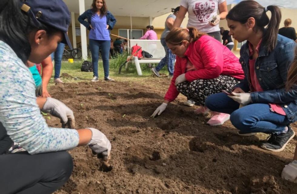 El hospital de La Pedrera tiene su propia huerta