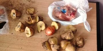 Alimentos que escondían marihuana en su interior